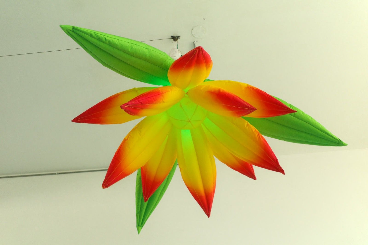 Blume gelb